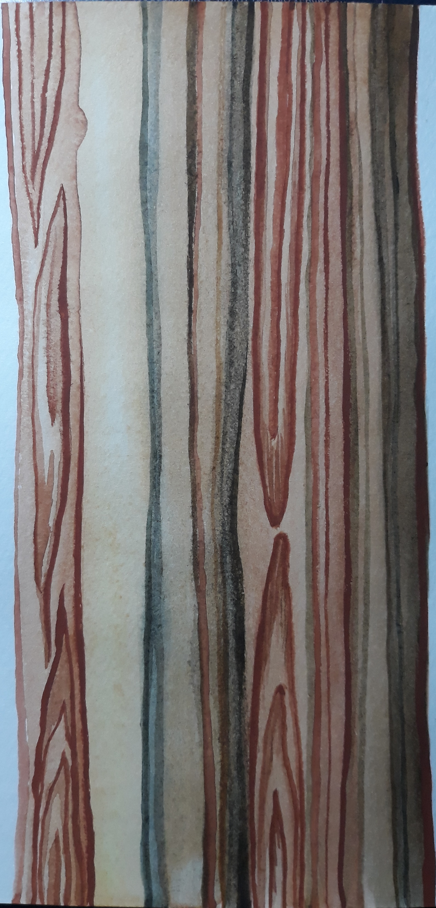 bars of wood&tree bark