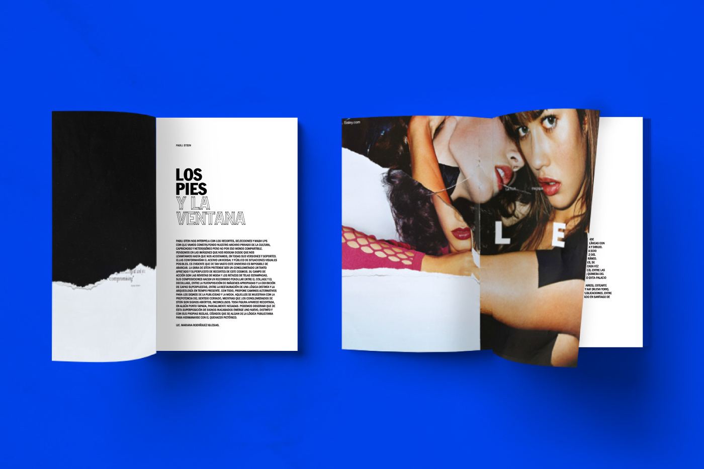 design graphic artshow art print Catalogue editorial