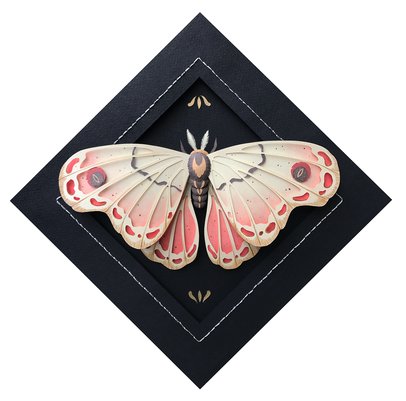 paper art Paper Illustration ILLUSTRATION  moth Nature butterfly gouache hand made