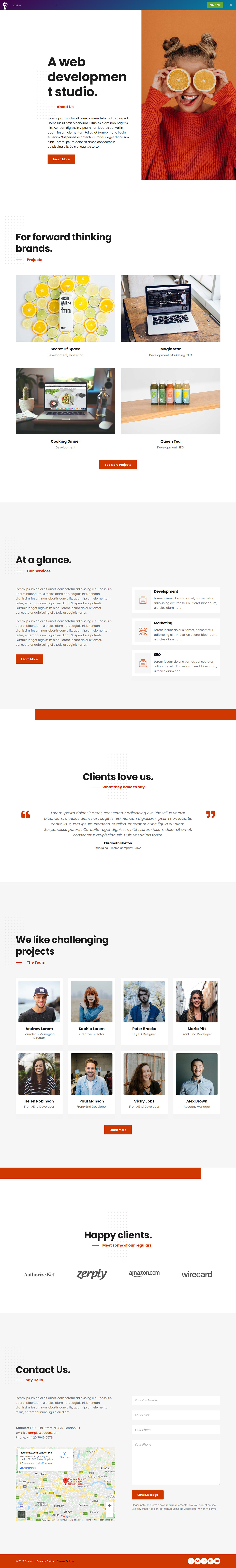 portofolio designer Website Web Design  landing page wordpress elementor pro Codea Portofolio CodeArt websiteseo