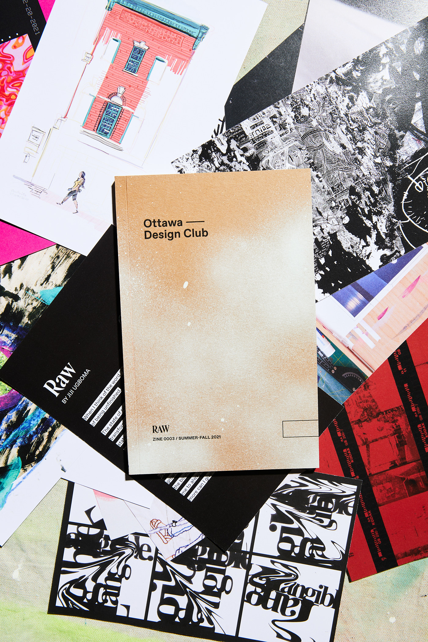 art artistic direction concept design curation editorial editorial design  Layout print Zine  Zine Design