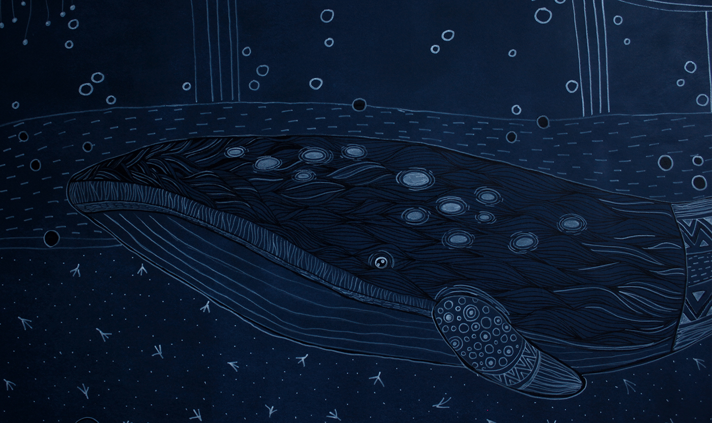 wall art Mural aqua marine Whale tortoise jellyfish fish sea weed creatures species blue India PUNE