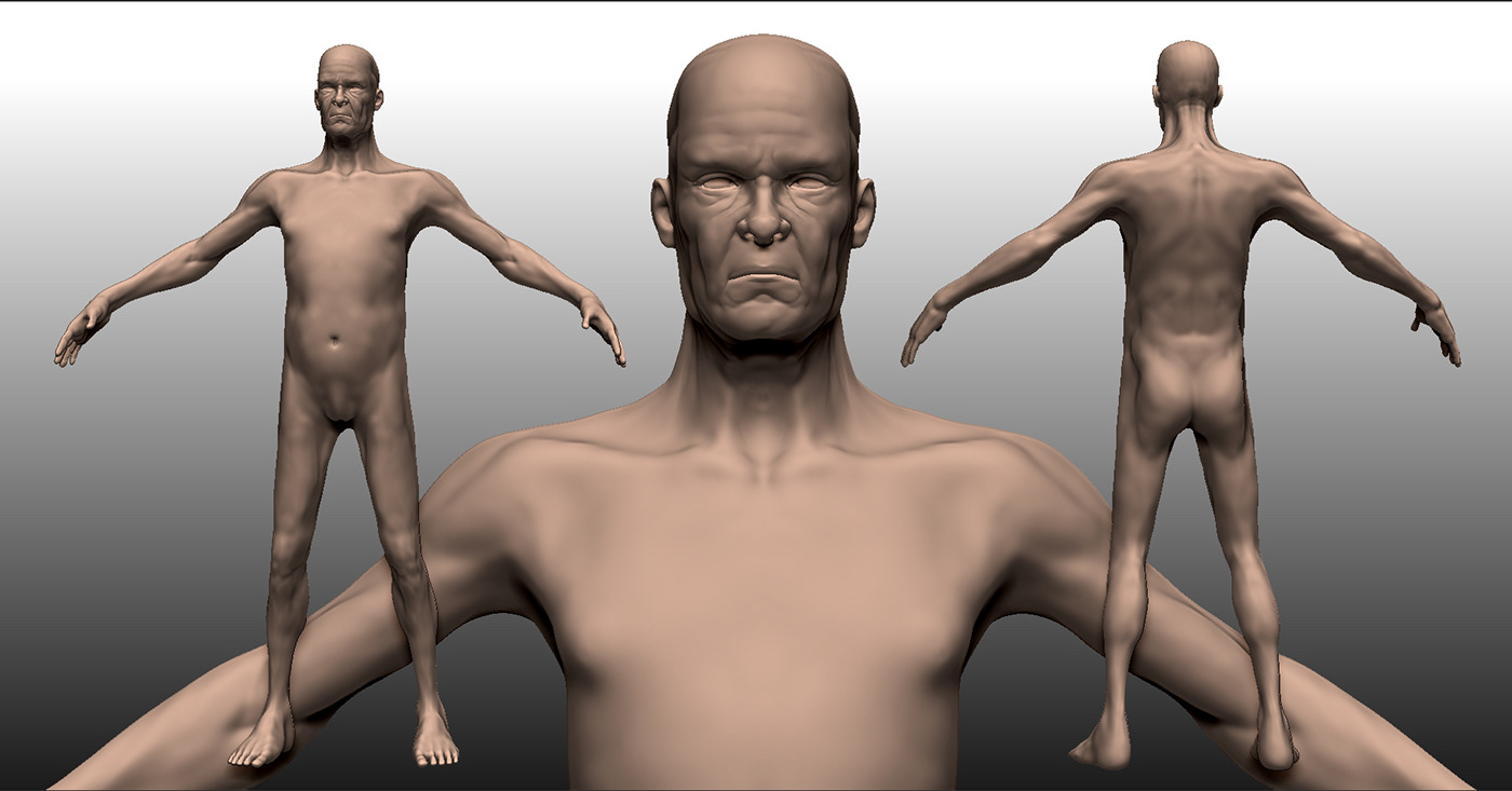 AnatomyStudy digitalsculpting 3D