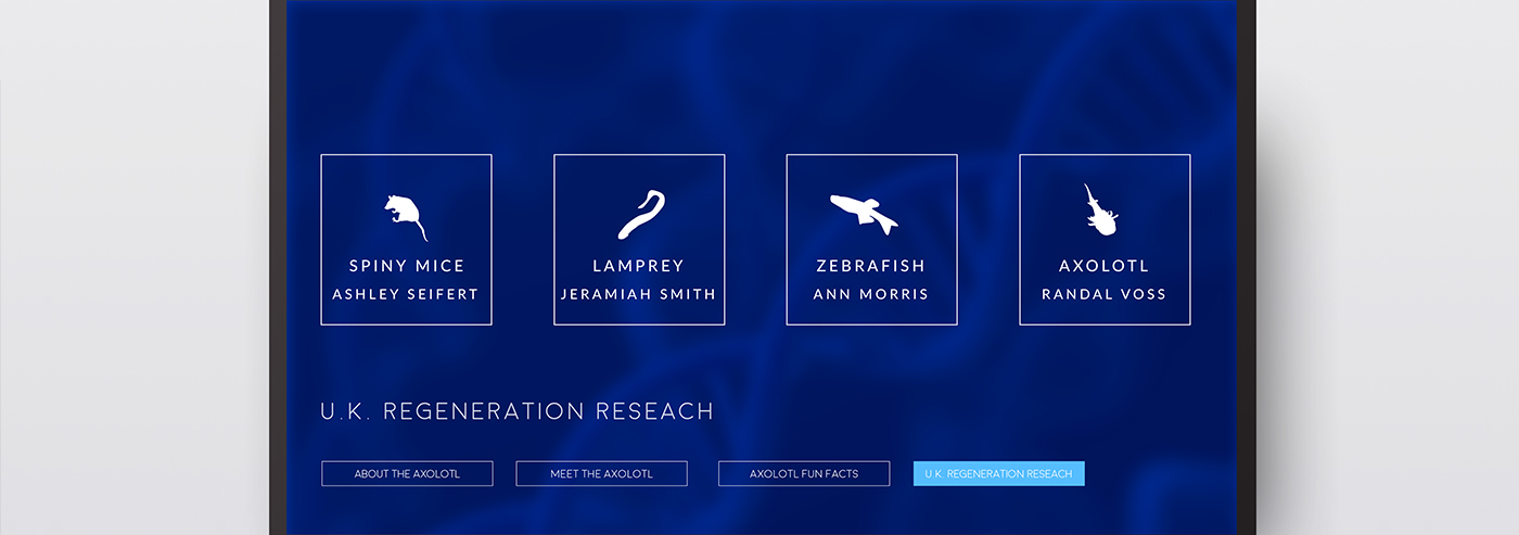 University of Kentucky Momentum design interactive college interactive environmental design UI