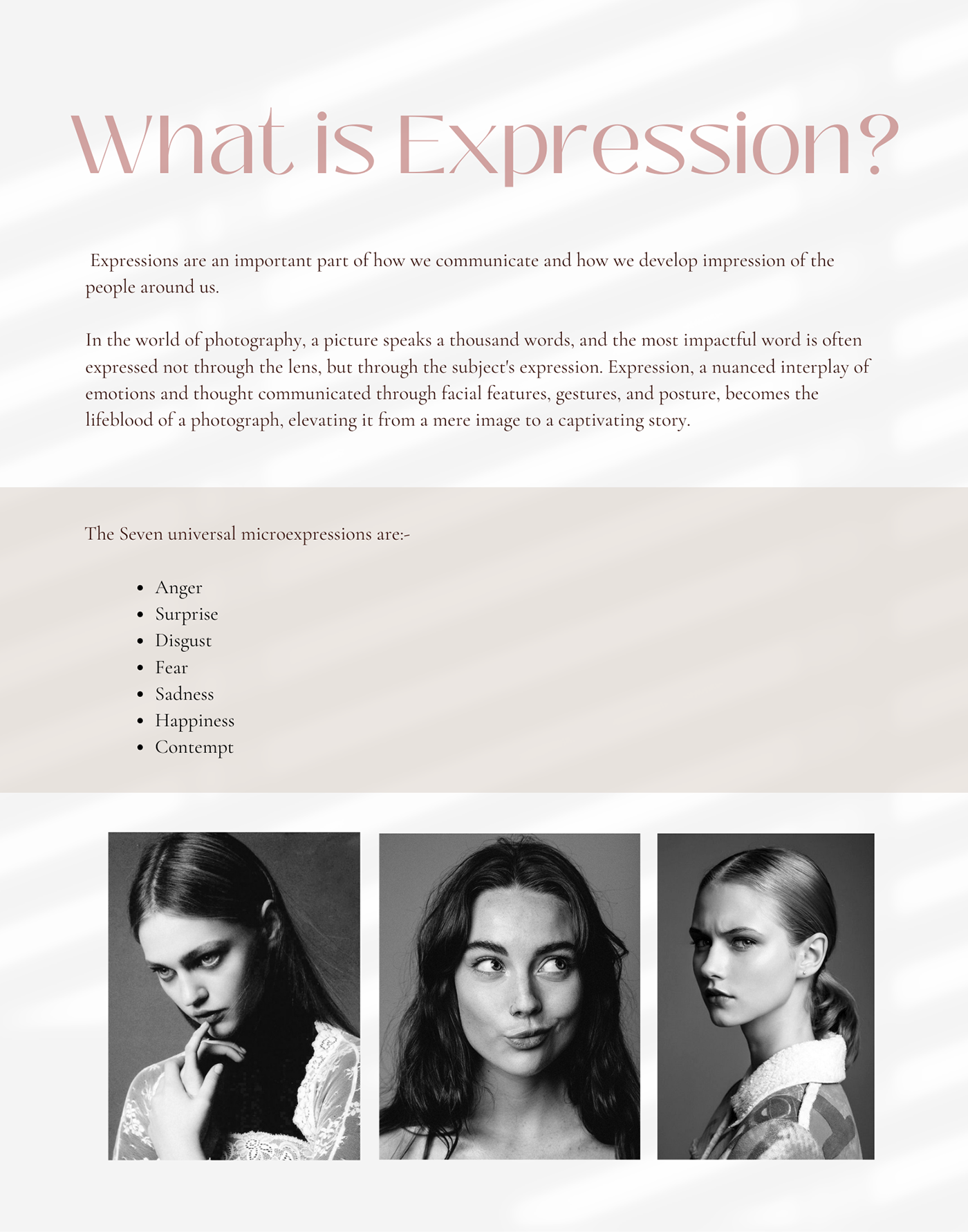 styling  fashion styling photoshoot NIFT portfolio NIFT PORTFOLIO Expression gesture fashion communication editorial styling
