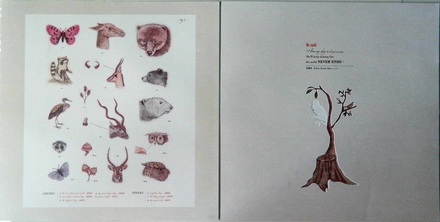 fadu uba cosgata LP vinilo cd ilustracion draw animals tipografia tipografíacosgaya