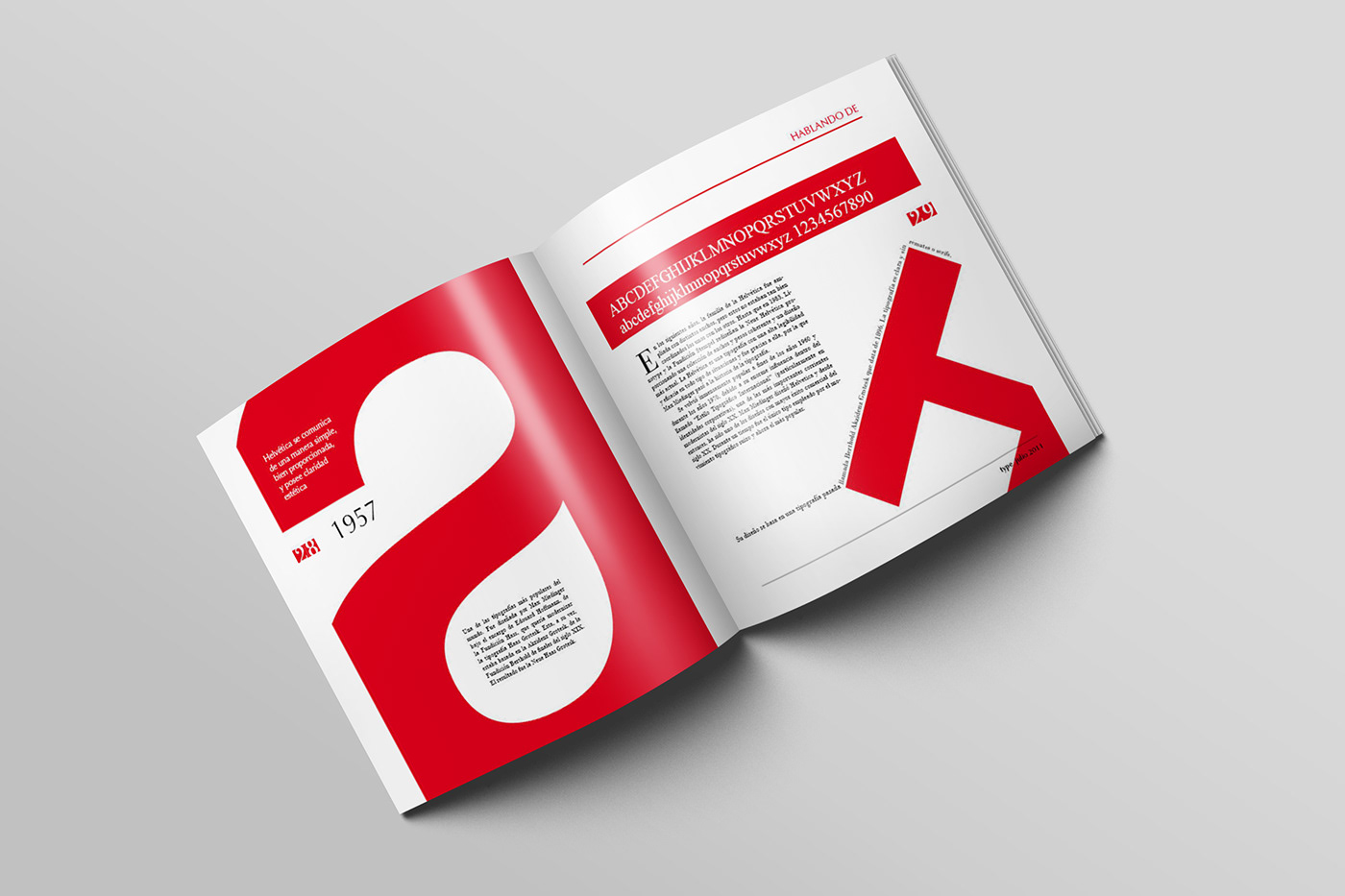 editorial graphic type design magazine diagramación art direction  editorial design  InDesign revista
