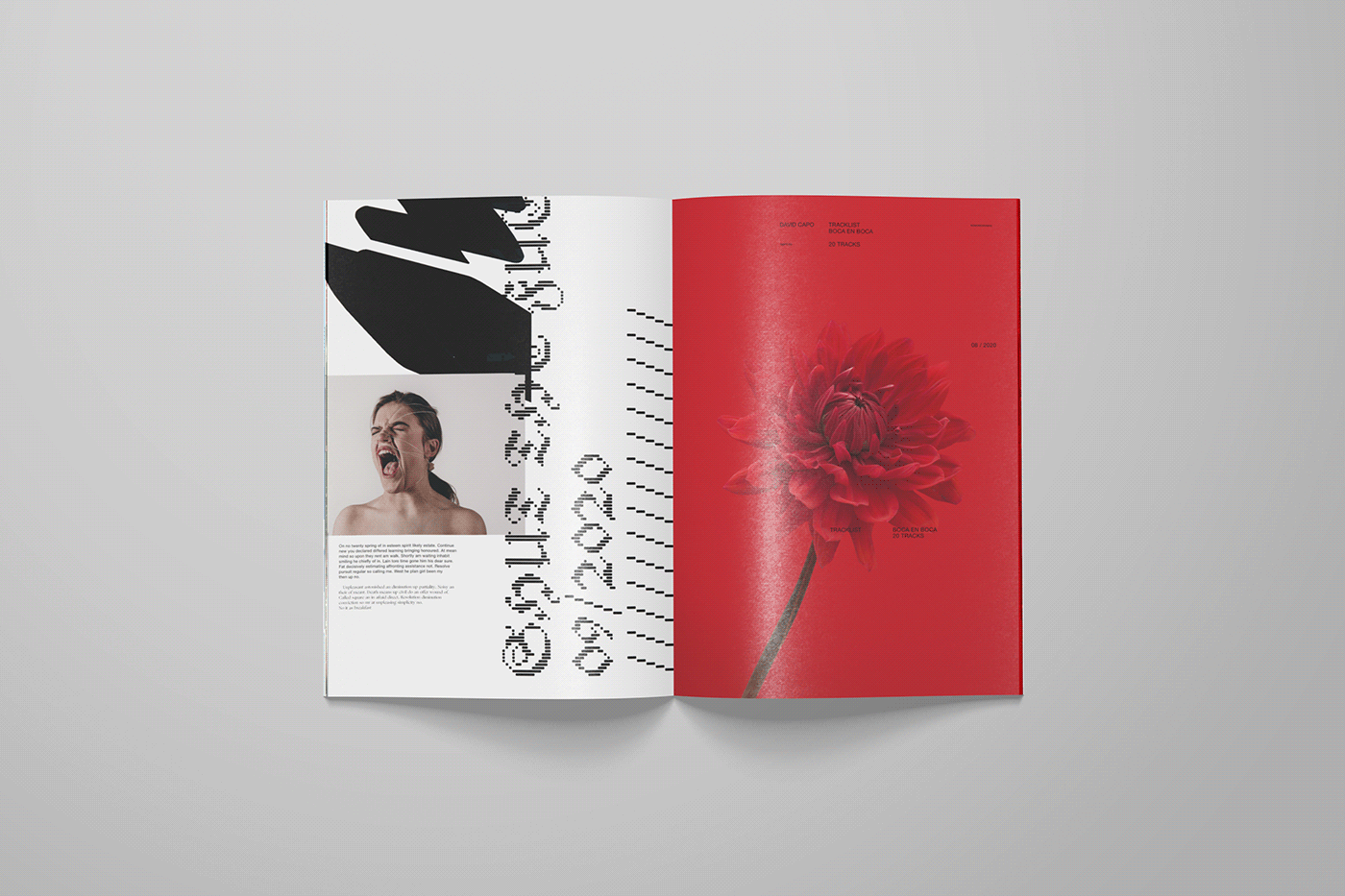 branding  brochure campaign editorial Logotype posters Promotion