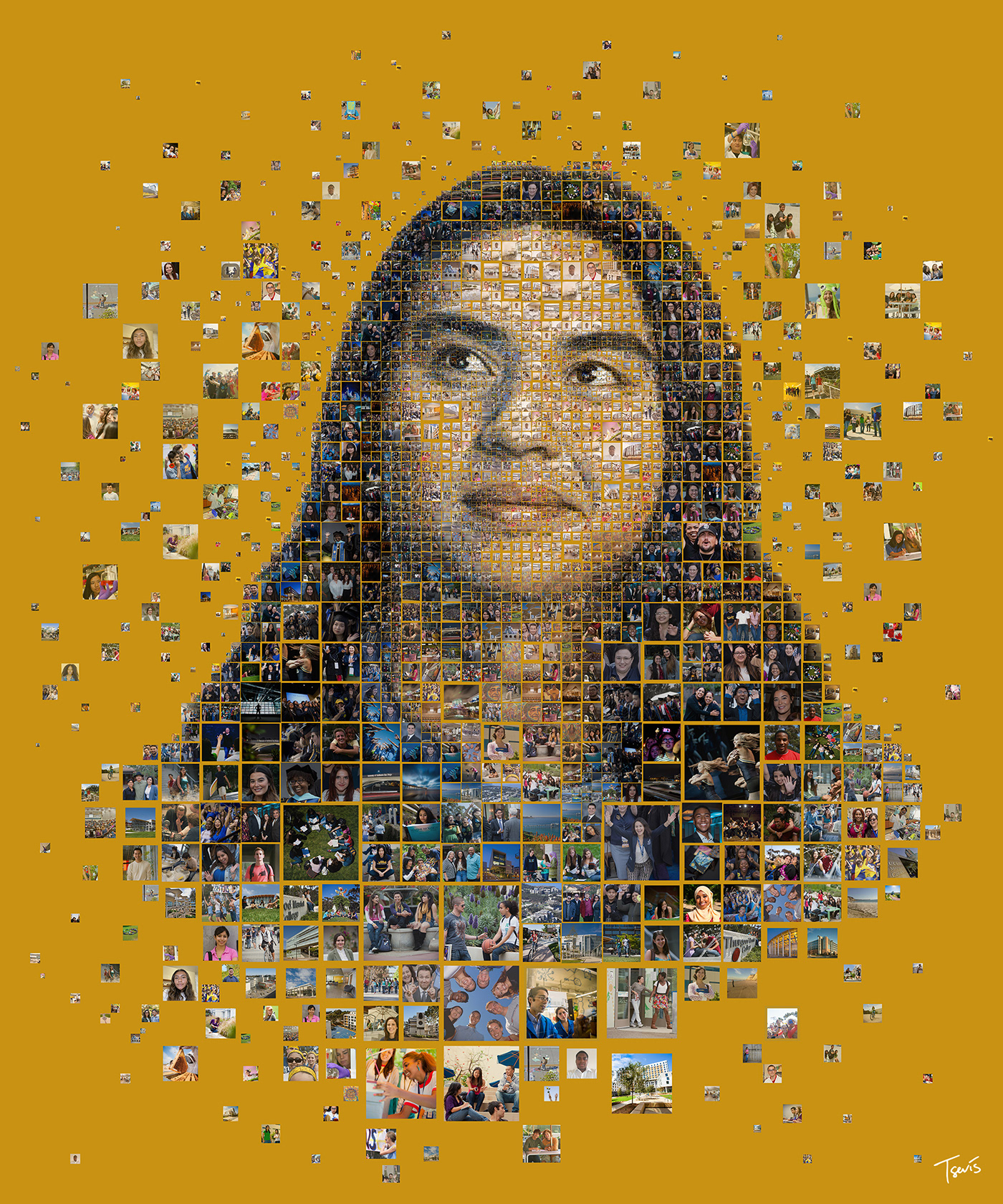 collage Digital Mosaic educational design ILLUSTRATION  mosaic portrait photocollage photomosaic visual design