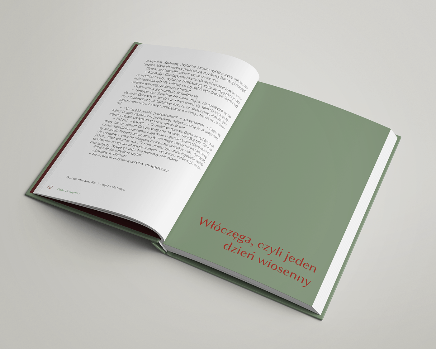 design brand identity book Layout InDesign print