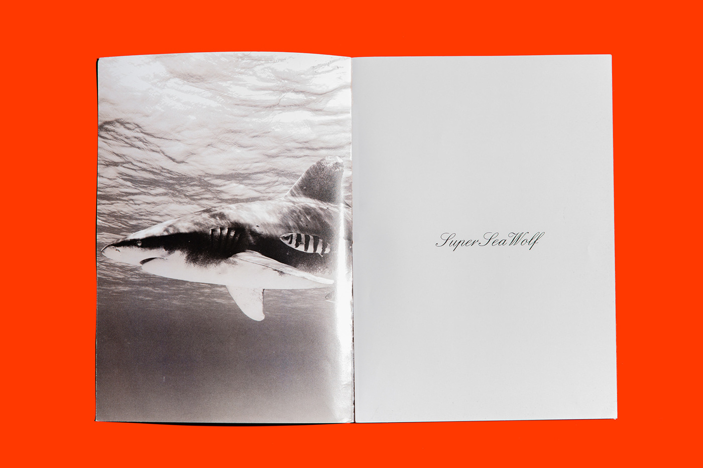 zodiac Tractorbeam Ocean editorial sharks zodiac watches graphic design  print design  magazine watch