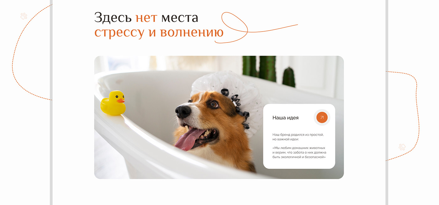 landing landing page Web Design  UI/UX Website animals Pet ui design Cat dog