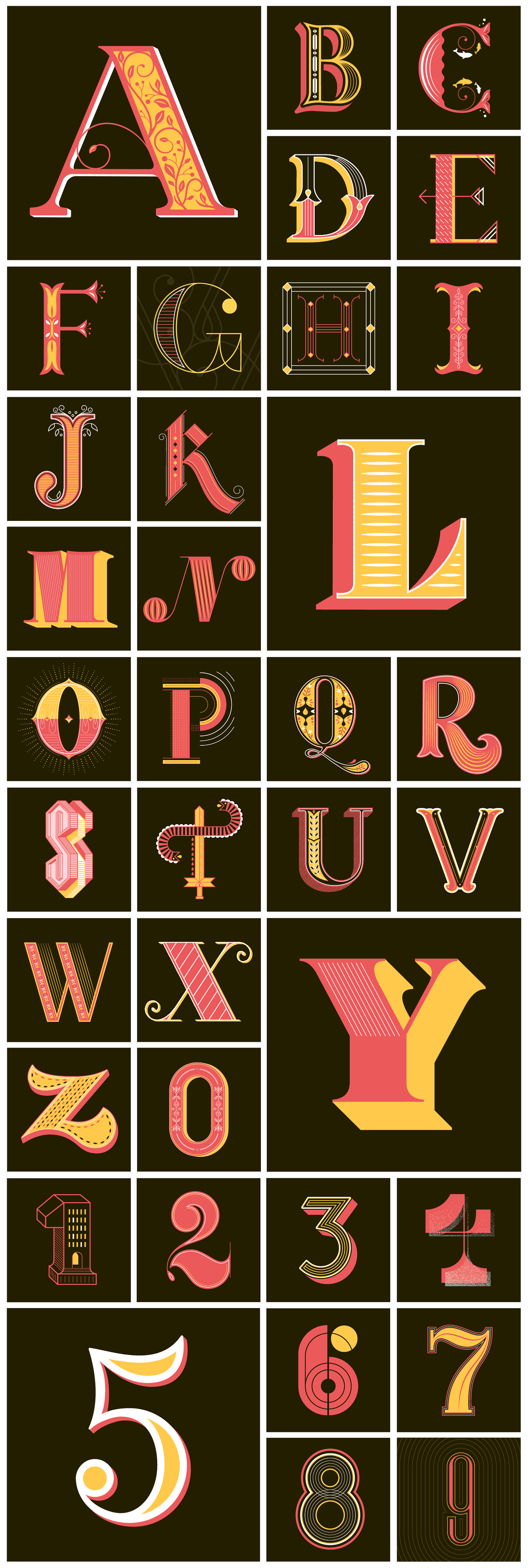 typography   dropcap ILLUSTRATION  alphabet type flat vector lettering inspire graphic