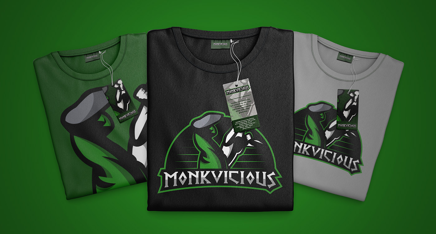 mmo branding  esports design Streamer Twitch overwatch  monk Monkvicious Diablo III