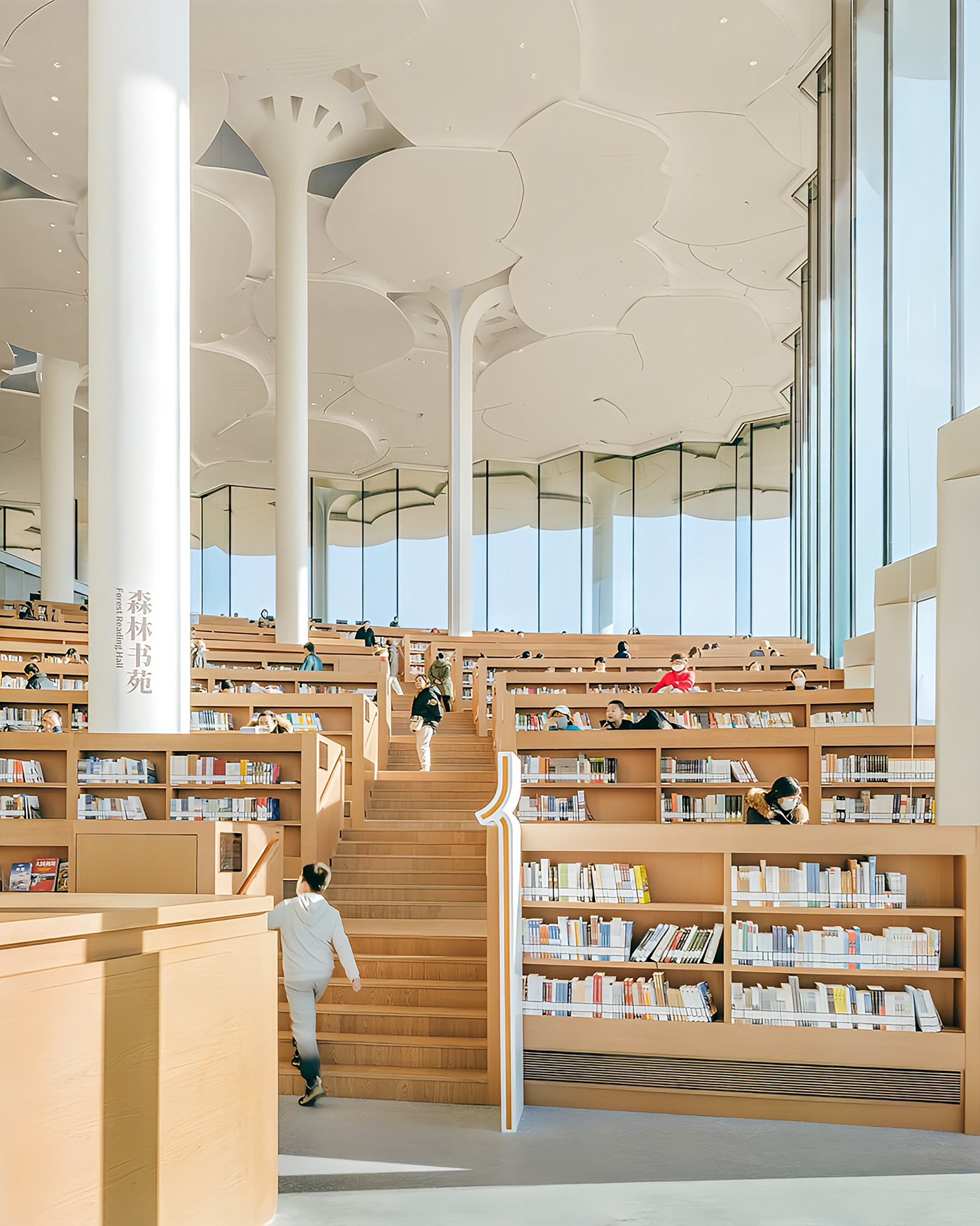 architecture library