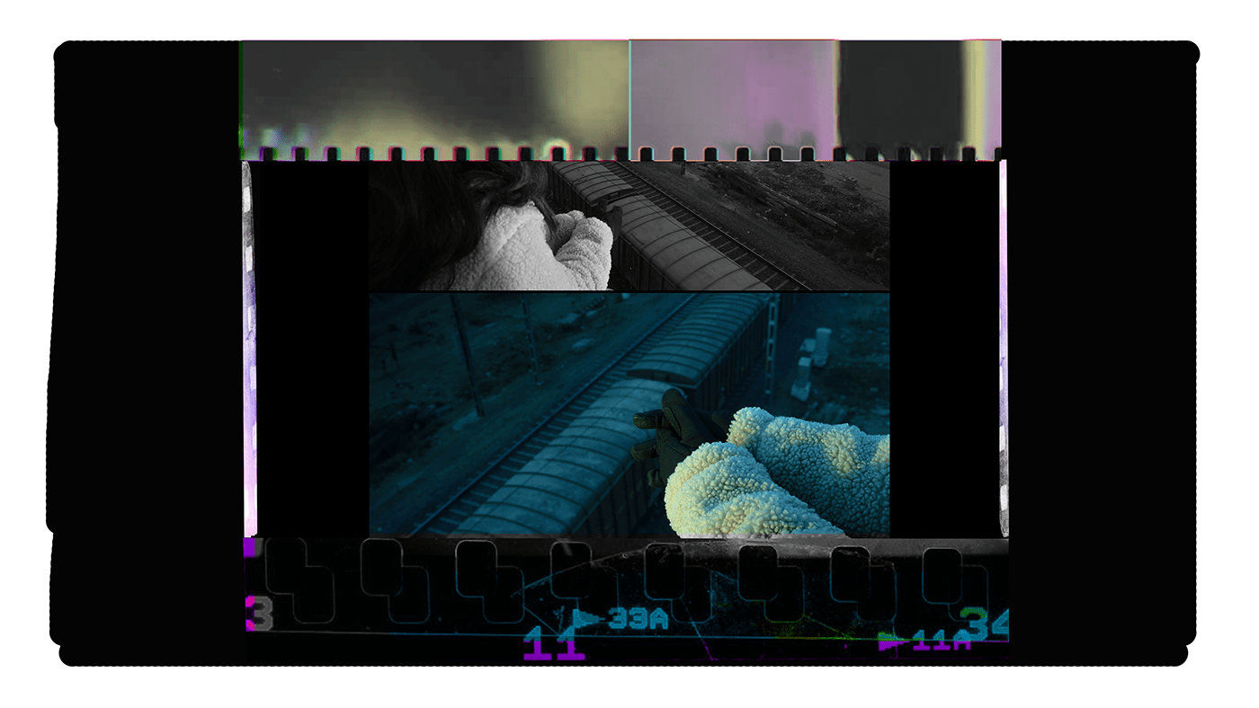 cinematic cinestill colorgrading experimental filmstrip negative Poodle portraits walkthrough printsforsale