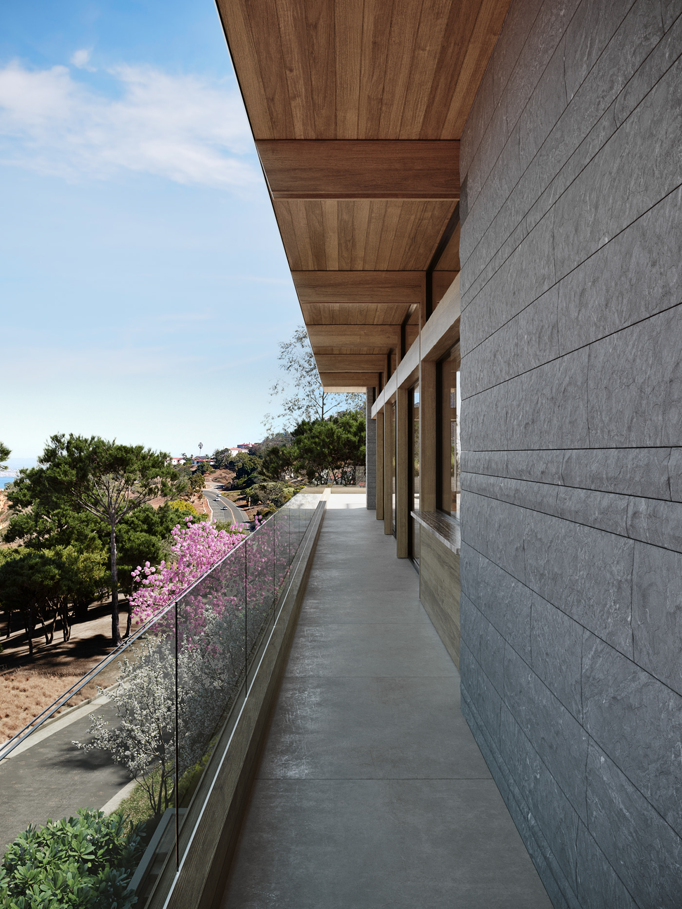 architecture archviz corona render  exterior house minimal modern Render visualization