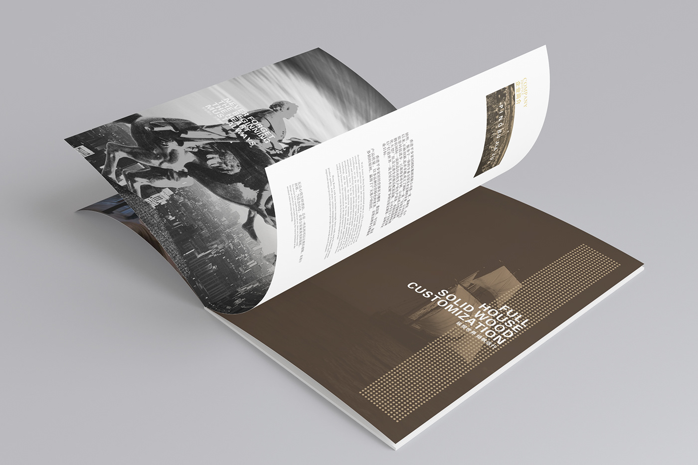 书籍设计 品牌设计 图书设计 封面设计   版式设计 画册设计 装帧设计