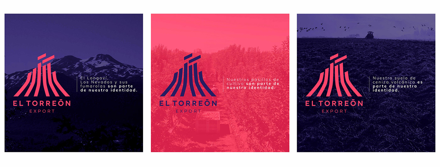 Agro branding chile design export ID torreon volcán volcano minimal