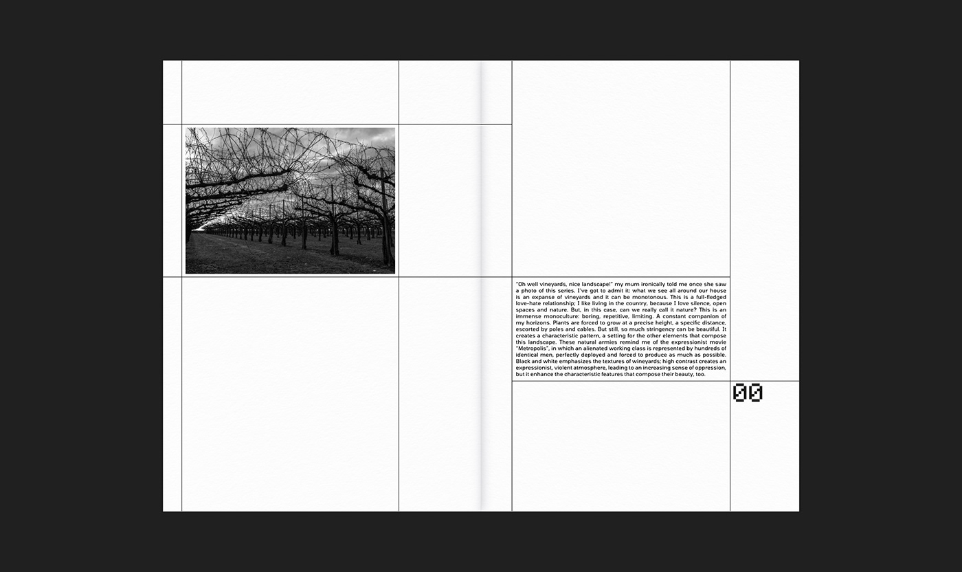a4 art direction  black and white editorial design  graphic design  grid Layout photo series photobook Photography 