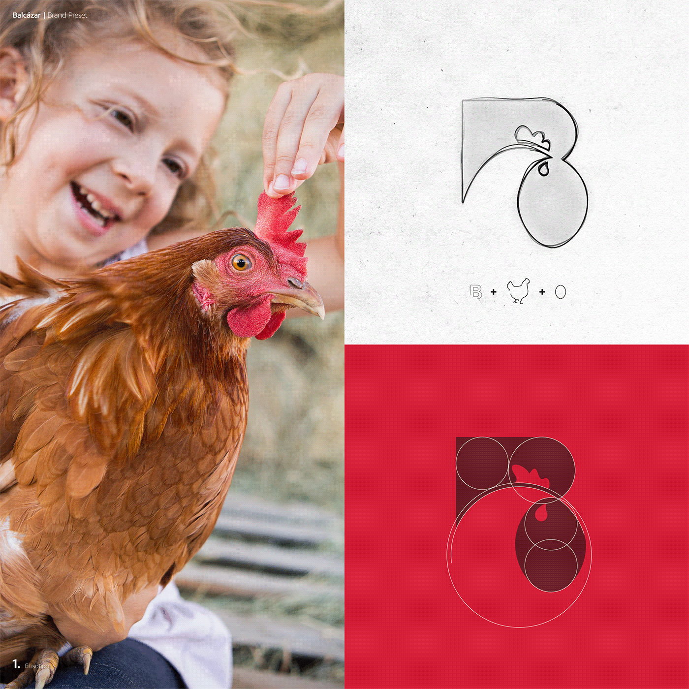 b logo balcazar chicken chicken logo letter b poultry Poultry logo Rooster rooster logo magnobranding