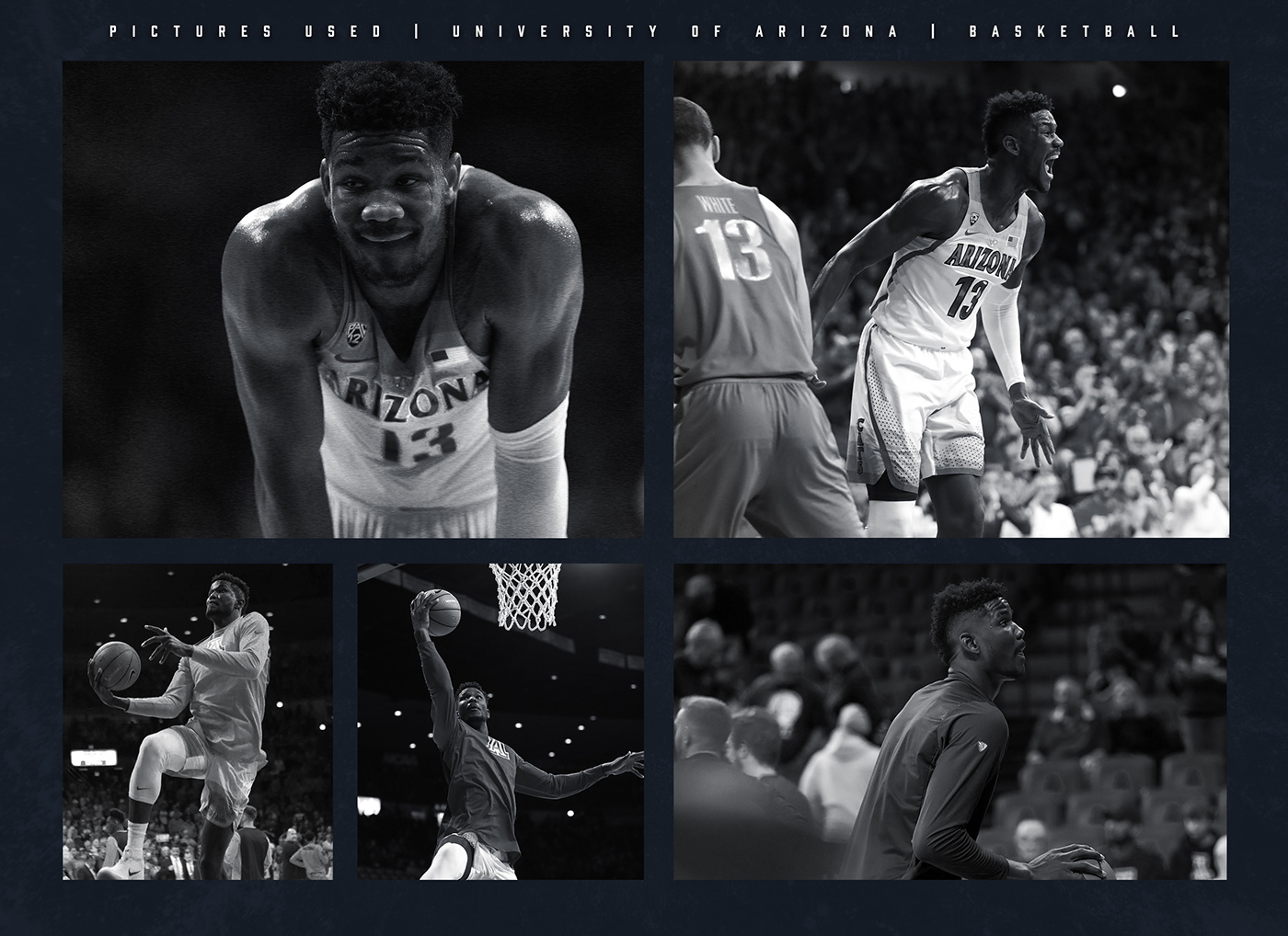 University of Arizona pac12 wildcats basketball Phoenix Suns graphic design  suns Deandre Ayton NBA ESPN