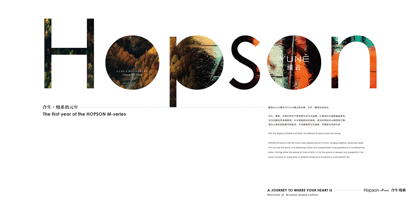 品牌 画册 Layout typography   Graphic Designer brochure magazine editorial design  book cover design