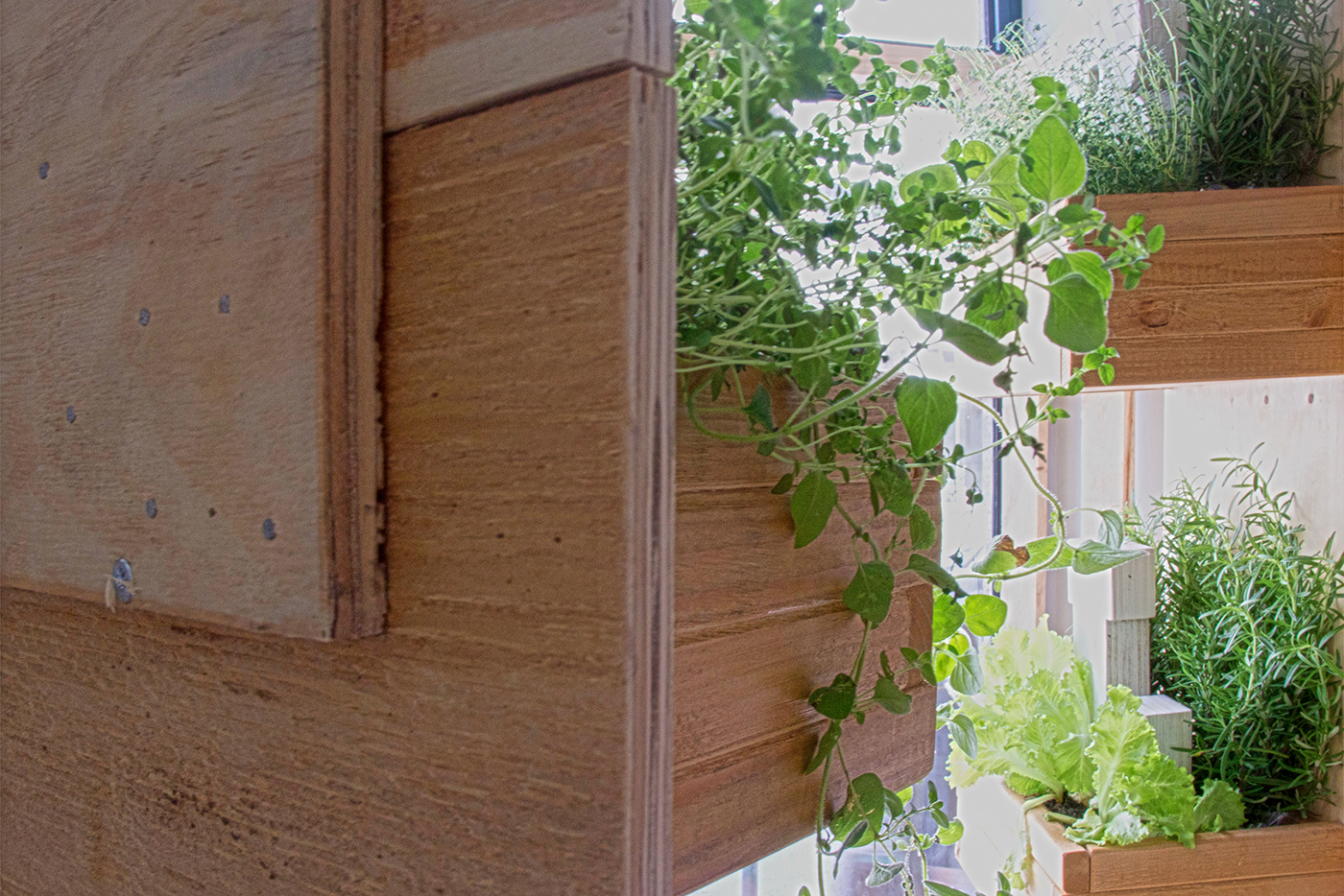 bio eco friendly garden natural organic Quintal Bioshop upcycling vitrina Window Display wood