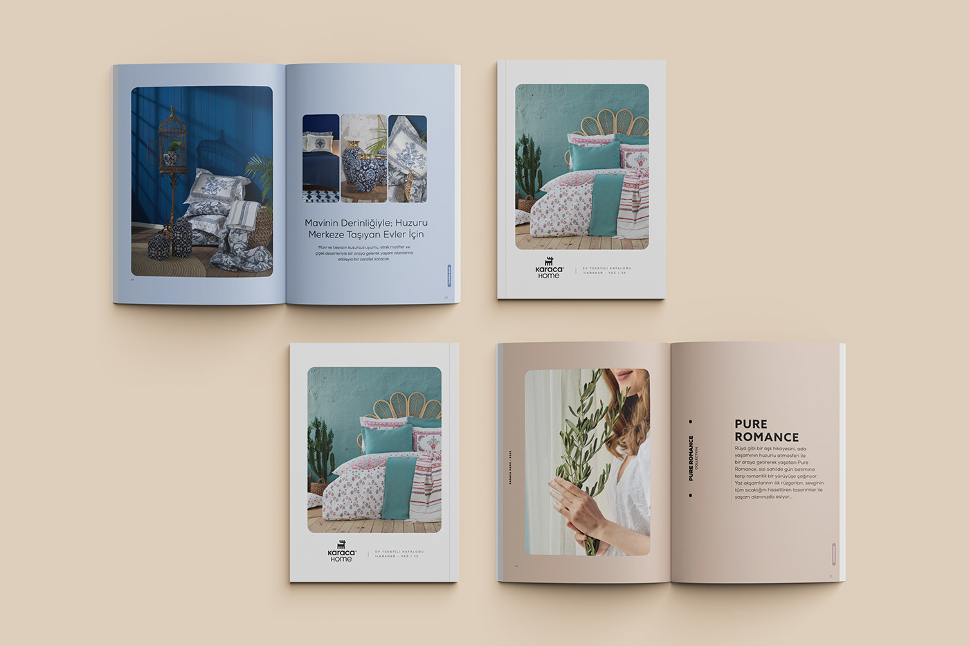 Advertising  book branding  desing graphic design  InDesign Layout magazine print