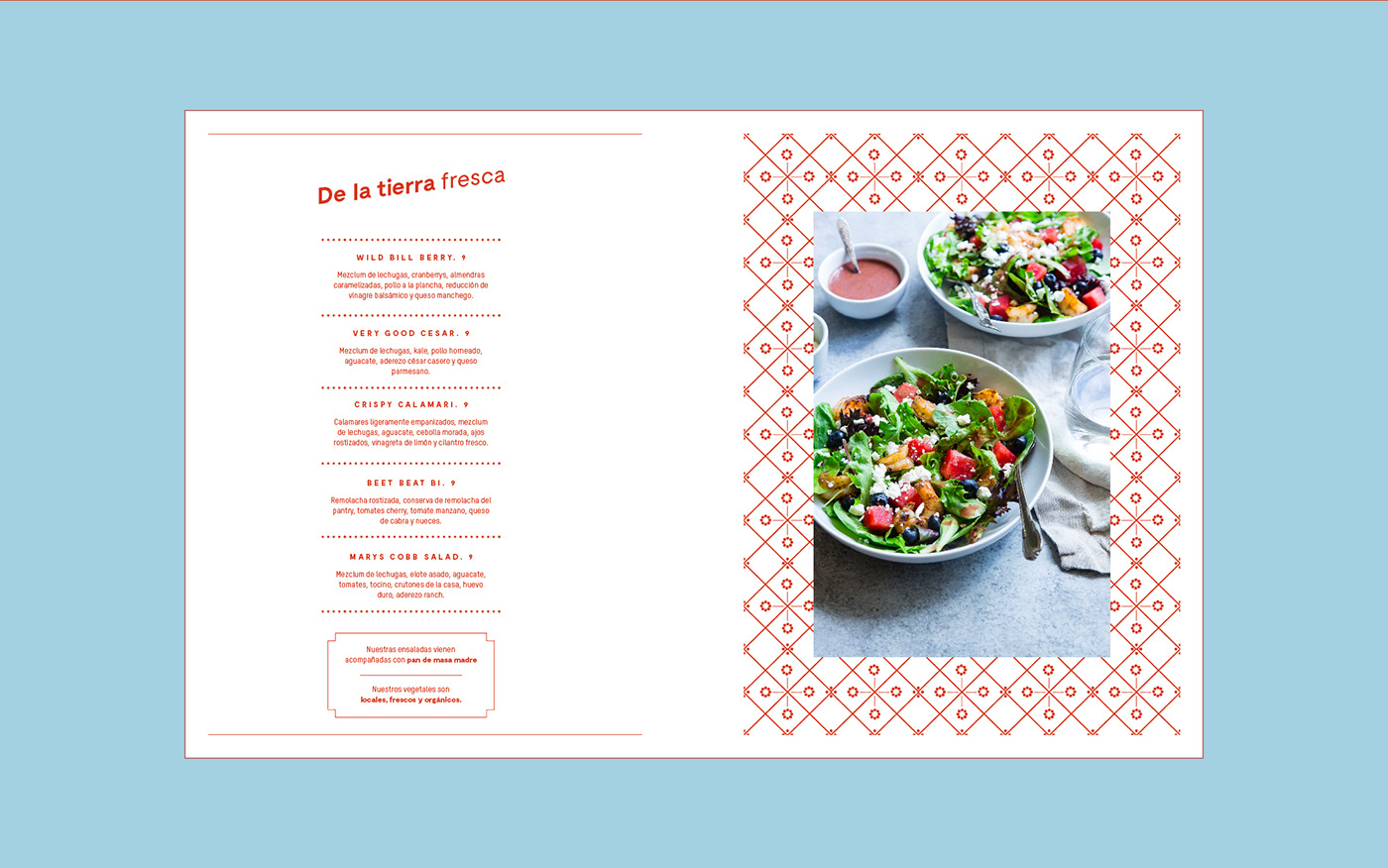 branding  design Food  foodstyling graphic menu Photography  restaurant