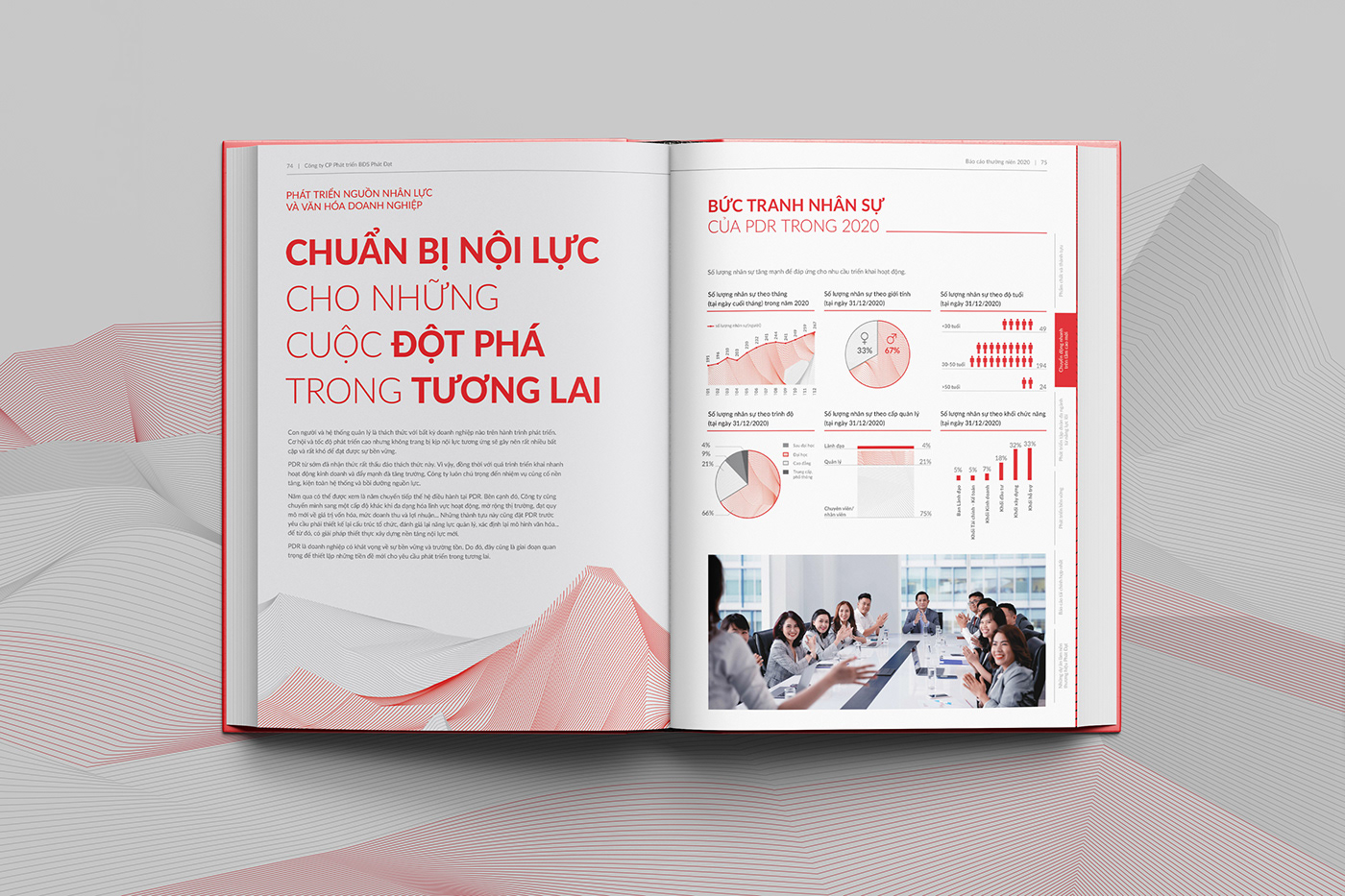 annual report branding  eagle font ilustration InDesign Layout magazine Printing real estate