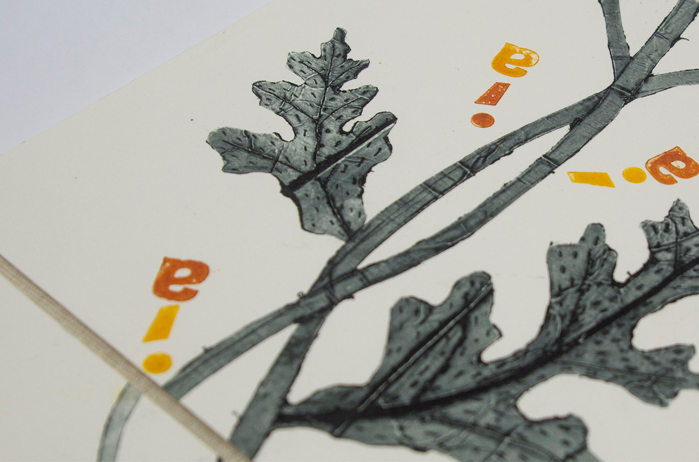 engraving tetrabrick MovableType type barcelona massana stamps Book Binding plants flower
