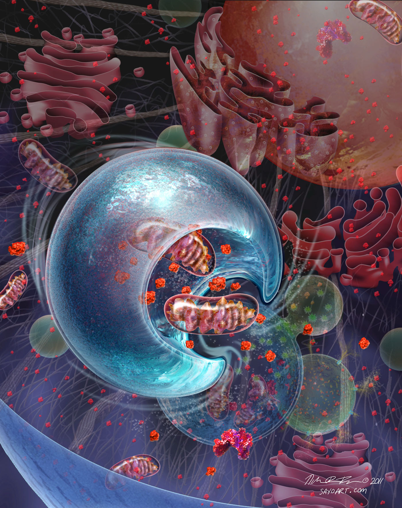 Inside Cells: Molecular Biology and Biochemistry on Behance