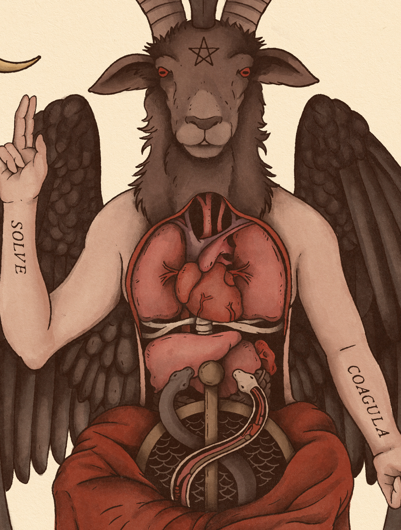 anatomy anatomy illustration Astrology Baphomet heart Magical medical science tarot witchcraft