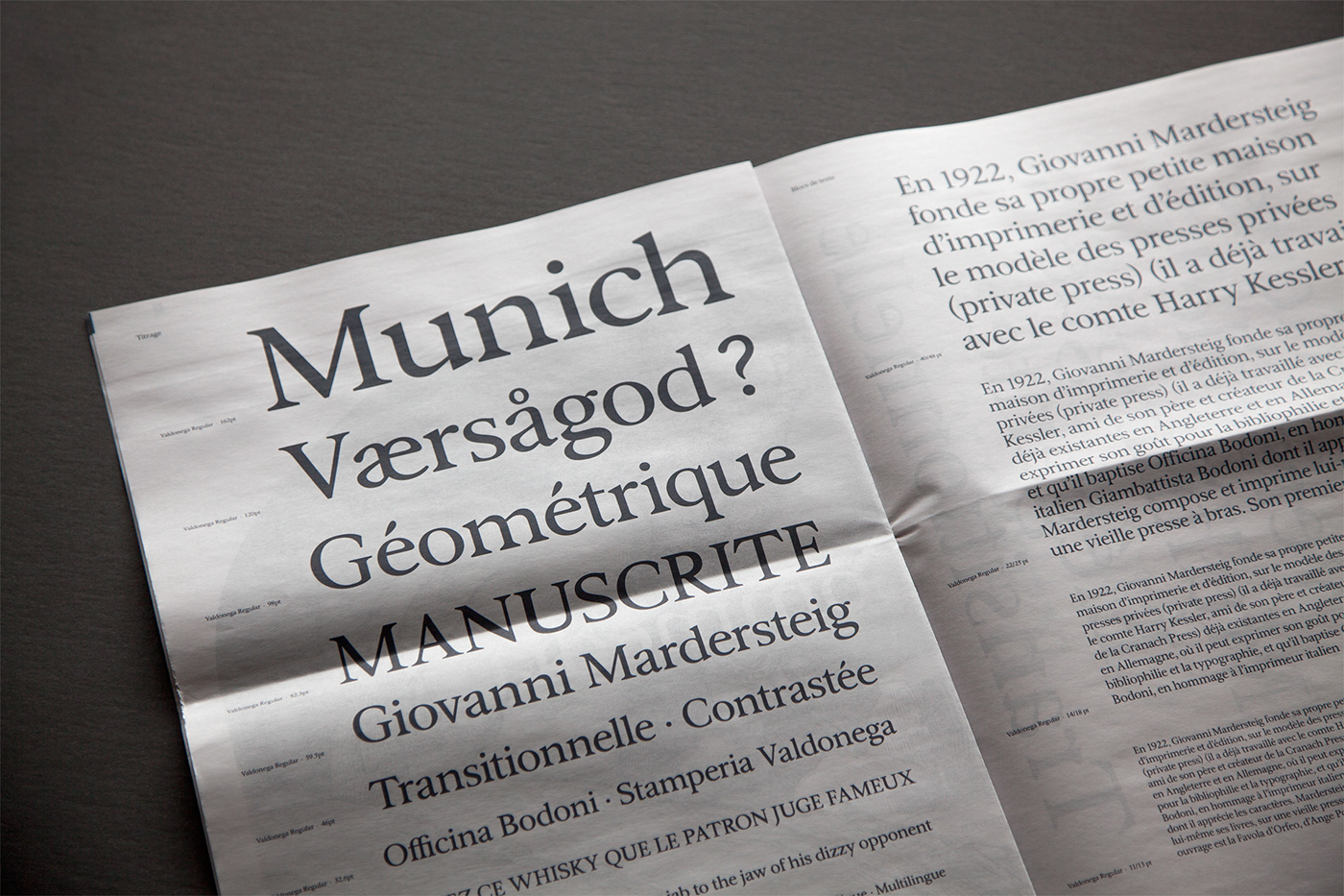 typography   Typographie font Typeface type specimen edition newspaper typo contrast geometric serif