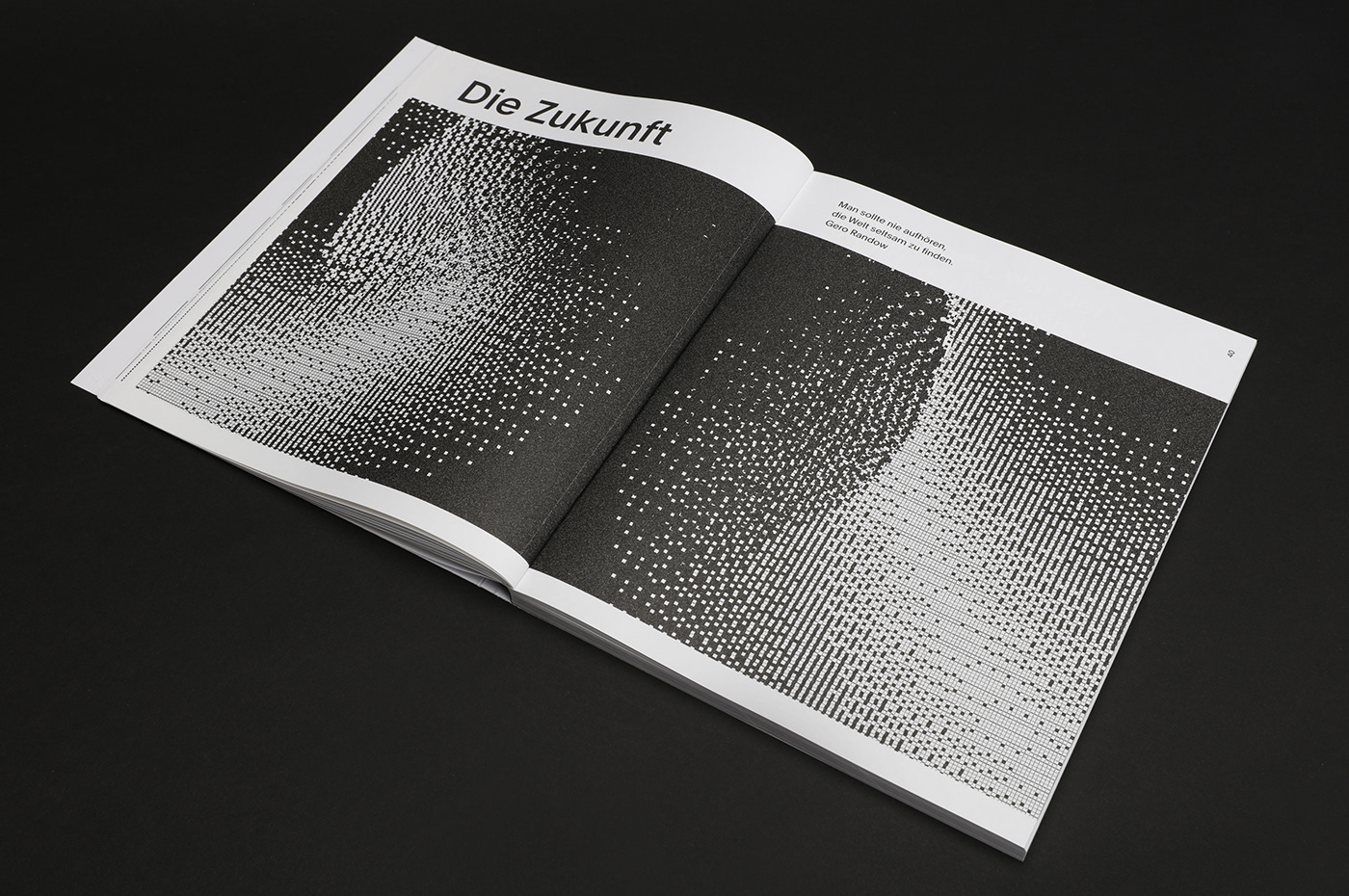 book digital editorial design  graphic design  ILLUSTRATION  Layout poster print print design  typography  