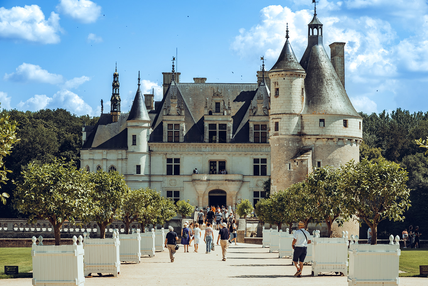 Amboise castles chambord Chateaux chenonceau france Loches loira Photography  villandry