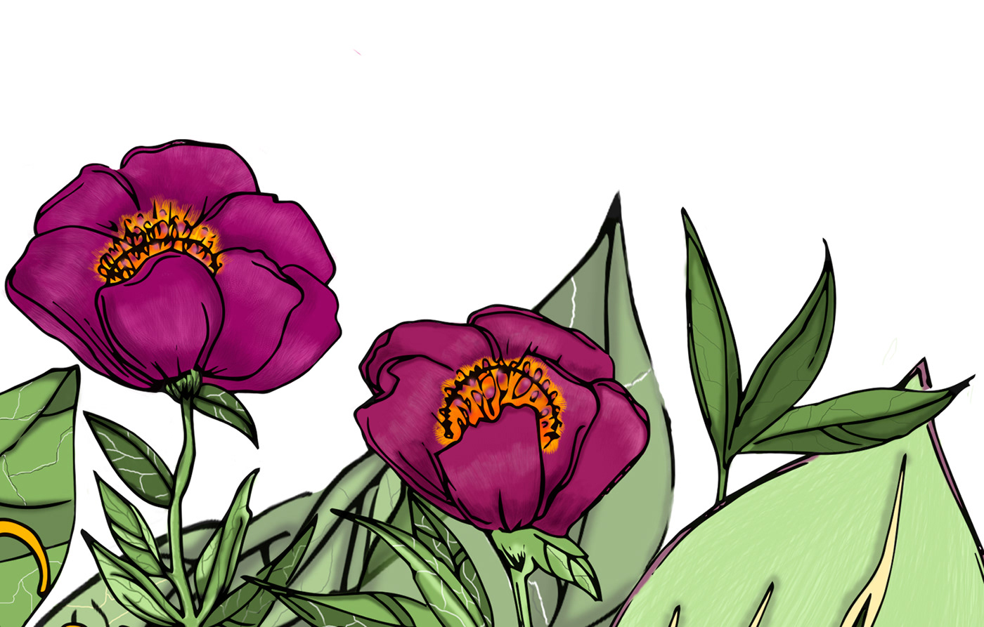 lettering diseñografico ILLUSTRATION  Flowers inspire ilustracion ilustracionbotanica cursiva