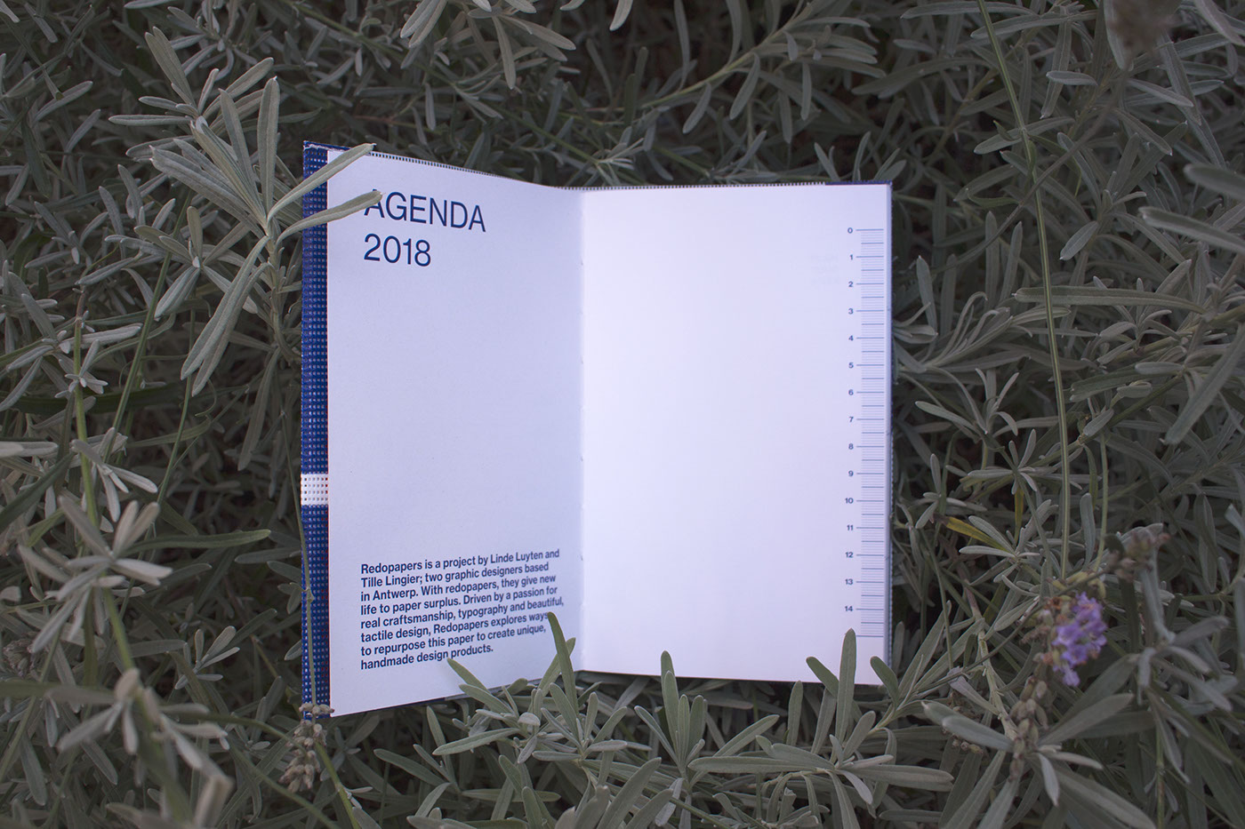 agenda planner design Sustainability typography   book graphic design 