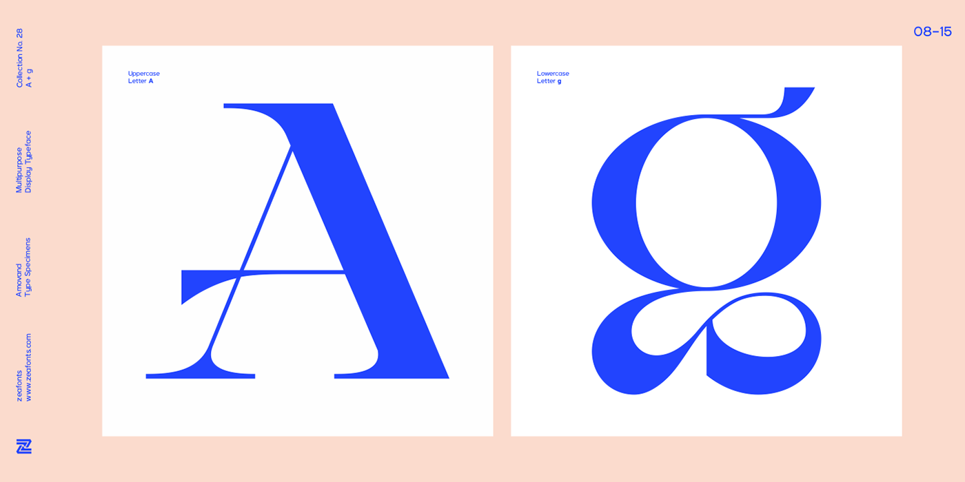 alternate branding  fonts ligature logo serif type Typeface typography   wordmark