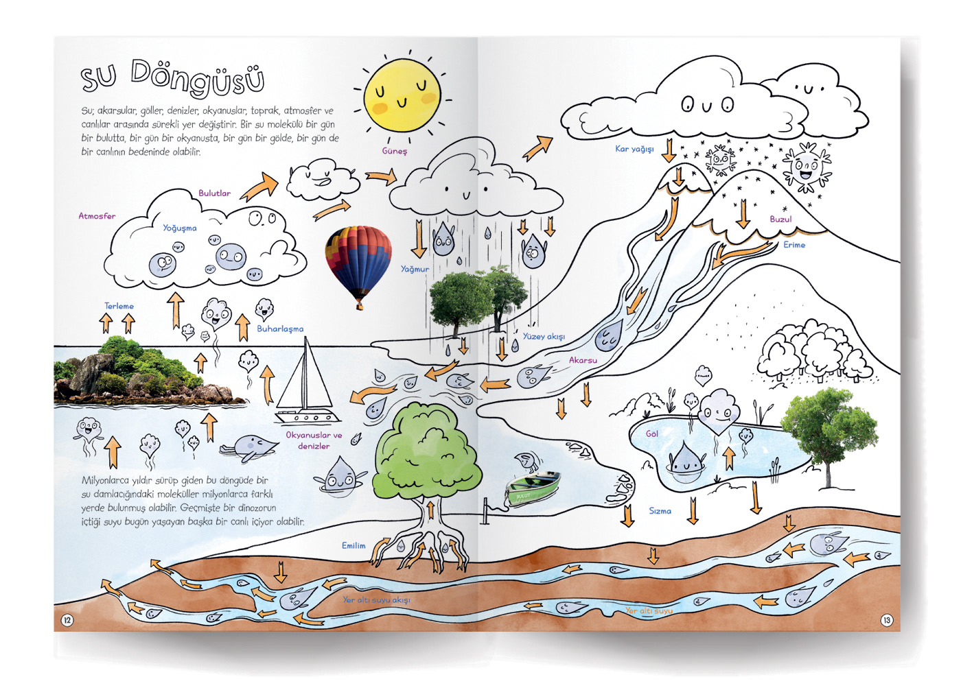 Child art children's book editorial design  Education ILLUSTRATION  kidlit learning Picture book print science