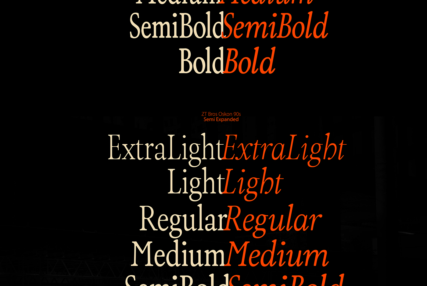 typography   type design Free font retro font