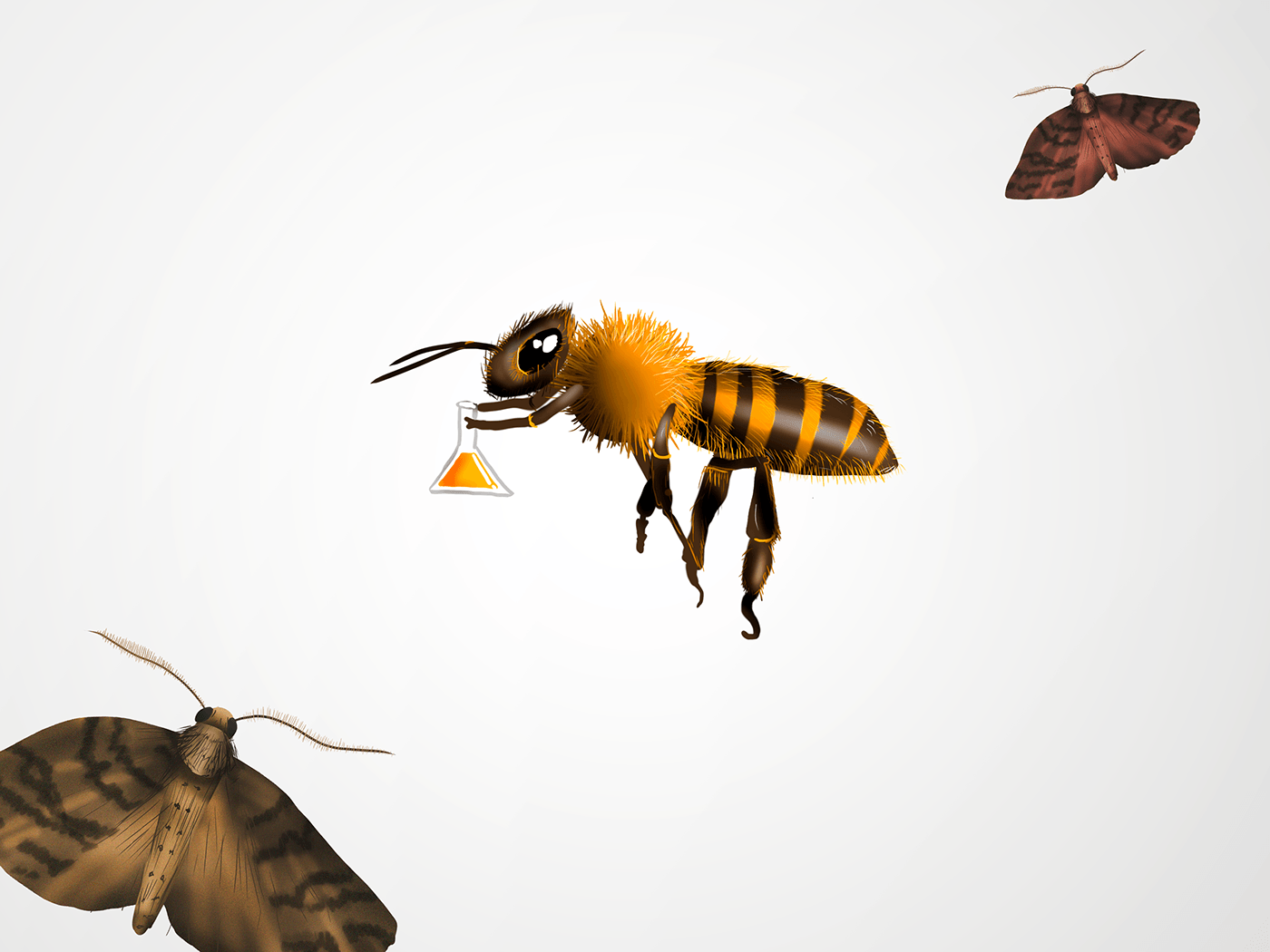 ILLUSTRATION  insectos escarabajo araña niños cuento libro ilustracion Infanitl