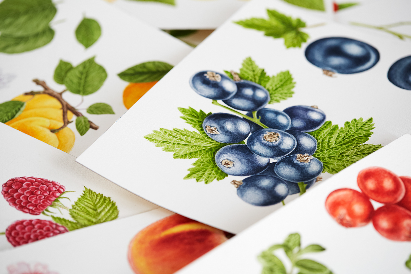 jam fruits berries Conserve packaging design farm nostalgic heimefrå Lerum traditional
