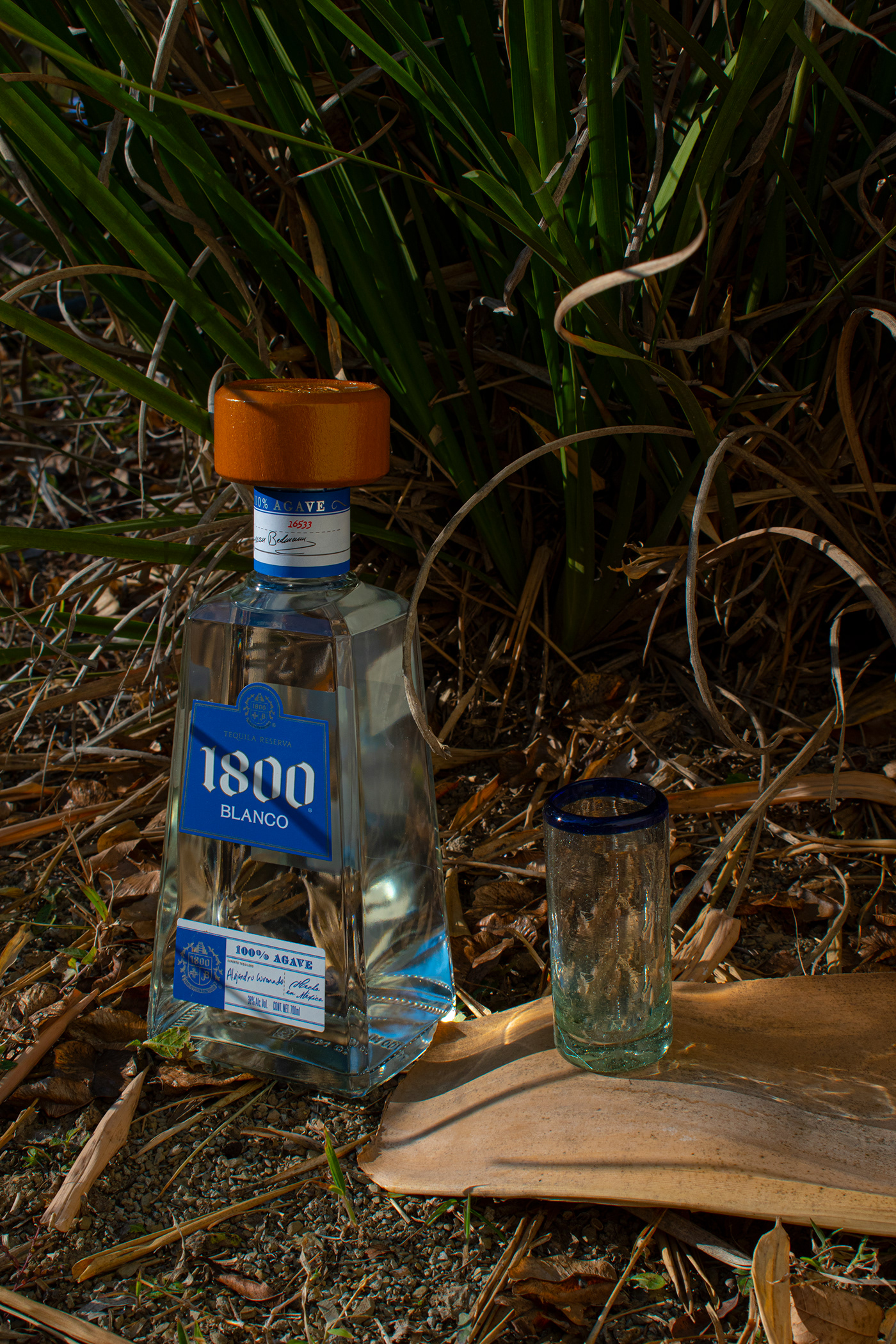 adobe bottle designer drink Foryou photo Photography  shot Tequila tequila bottle