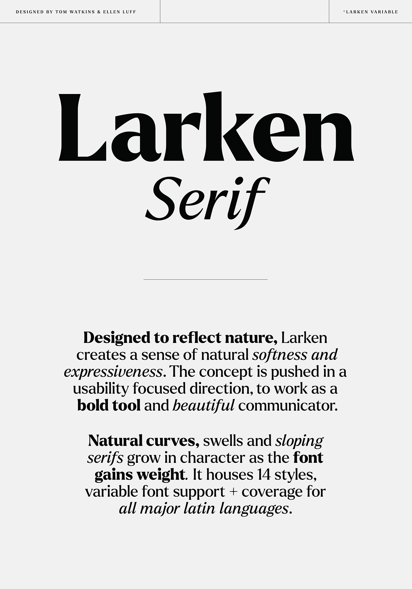 70's aesthetic bold Display elegant fancy font free Nature serif