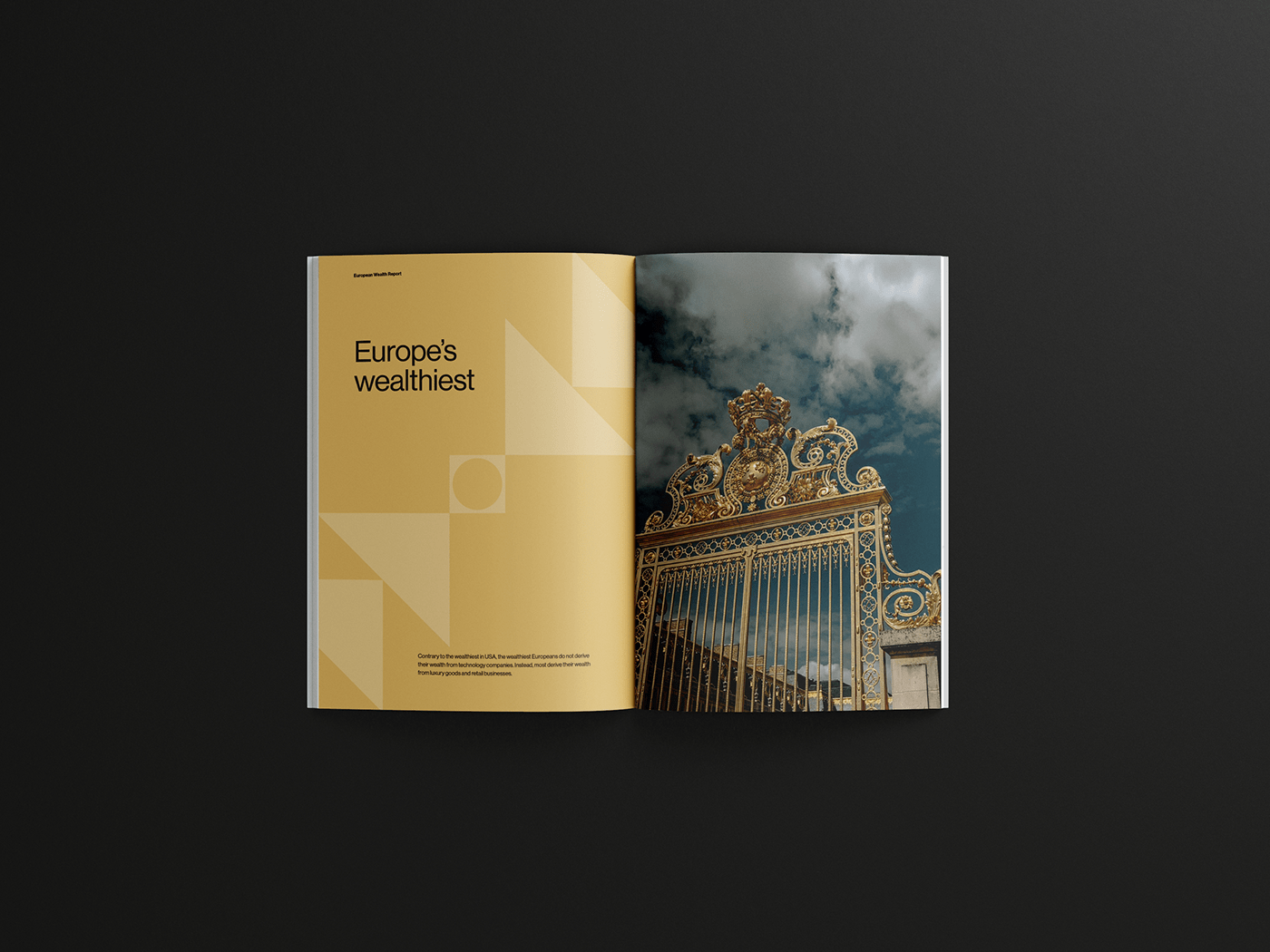 book cover clean editorial editorial design  InDesign Layout Minimalism modern report design swiss