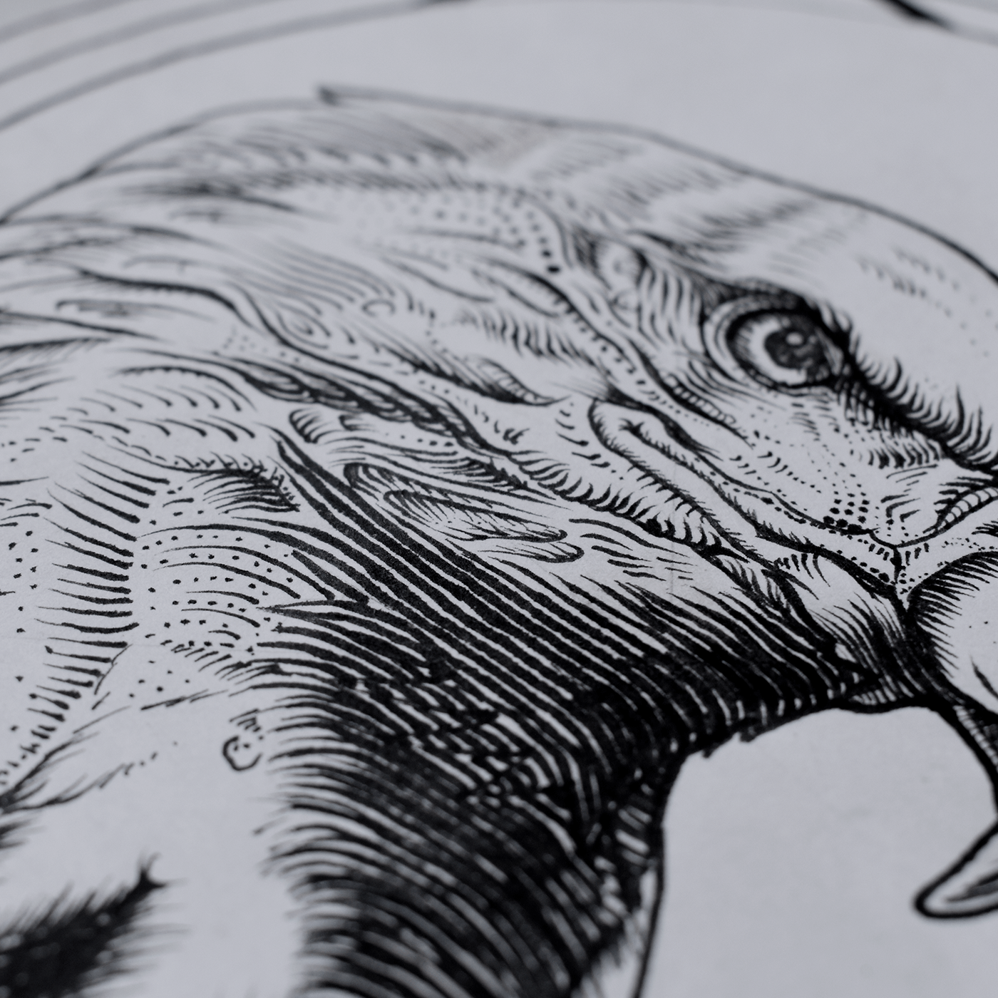 blackwork FOX colombia eagle tattoo ink black and white Nature inktober pen