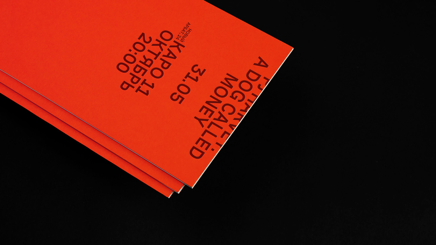 brand Cinema color festival Film   identity Layout orange poster typography  