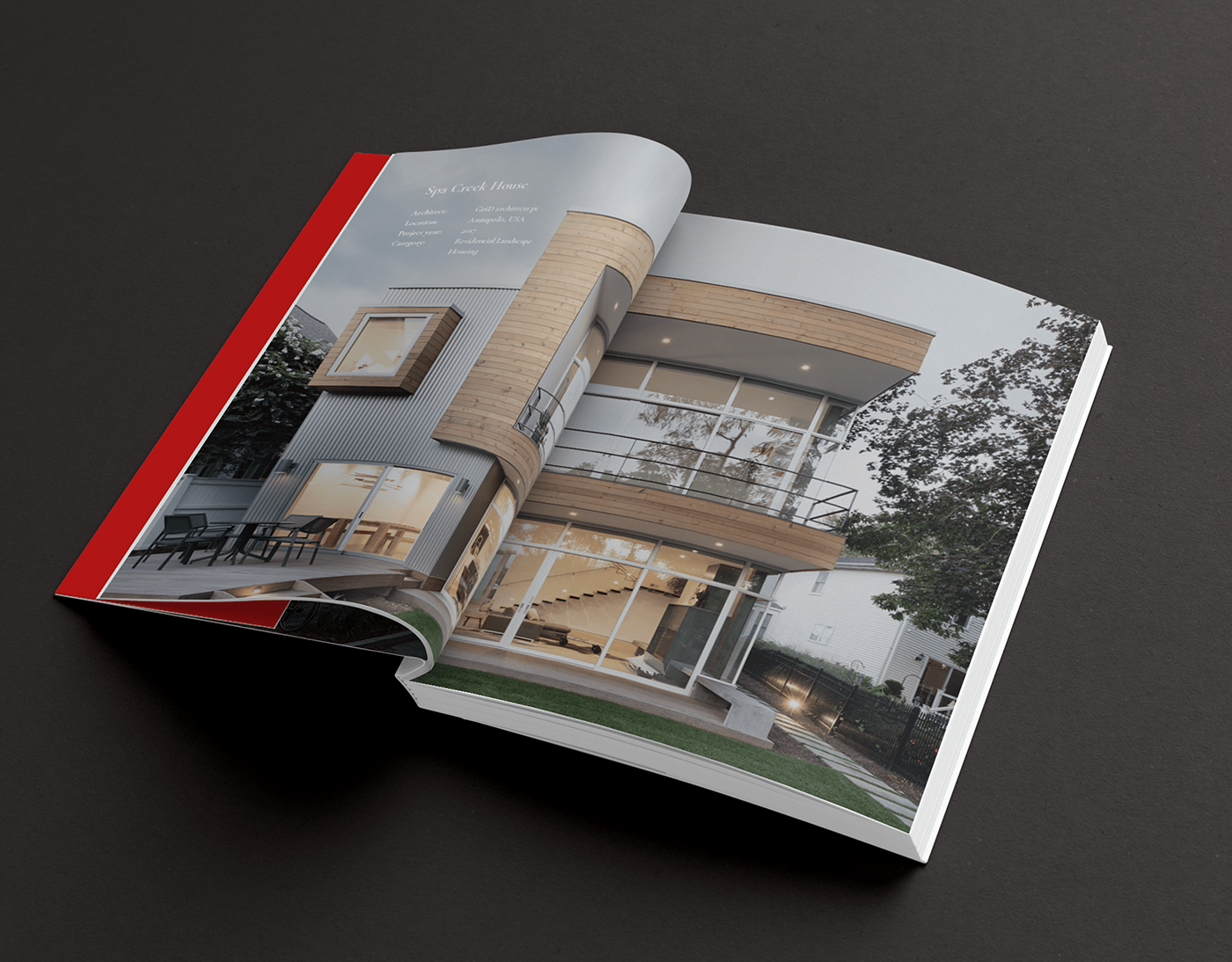 adobe book cover design designer InDesign Layout magazine print typography  